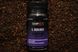 Stick Flat Mix 2в1 SQUID-PLUM (Кальмар слива)+ Liquid 50 ml  2932855058 фото 2