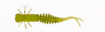 M5 Craft Kozyavka 1,5" Olive #005 2320 фото