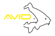 Avid Carp